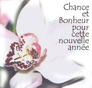 bonne-annee4-copie-1.jpg