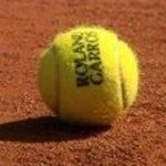balle-de-tennis2.JPG