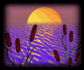 IM-6073-copie-7.gif