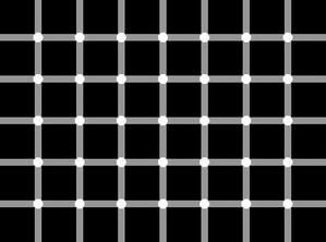 illusions1.jpg
