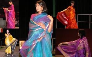 les-saris.jpg