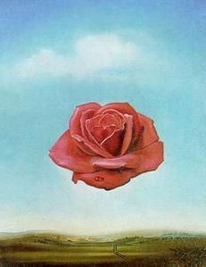 meditative-rose.jpg