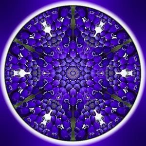 blue-light-special.jpg-Kind-of-mandala-bleu.jpg
