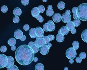 nucleation-502.jpg-goutelettes-d-eau-for-blue.jpg