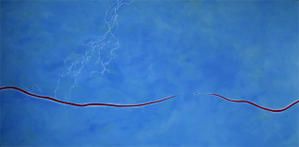untitled_blue2.jpg----paint-blue.jpg
