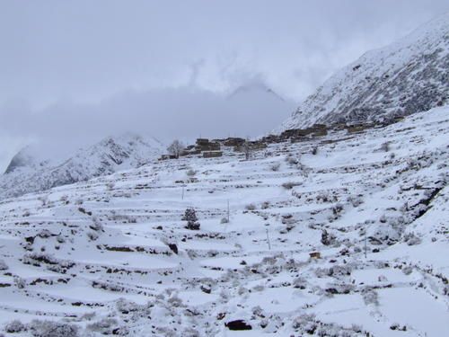 078-Tengi-under-snow.jpg