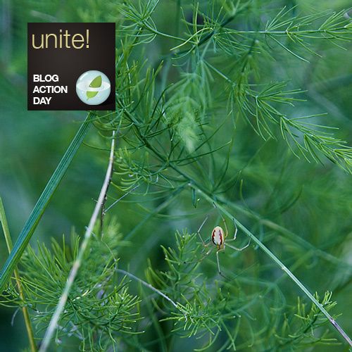 unite-copie-1.jpg