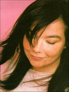 1013-943290351-bjork126-H131822-L.jpg
