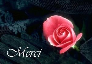 merci.jpg