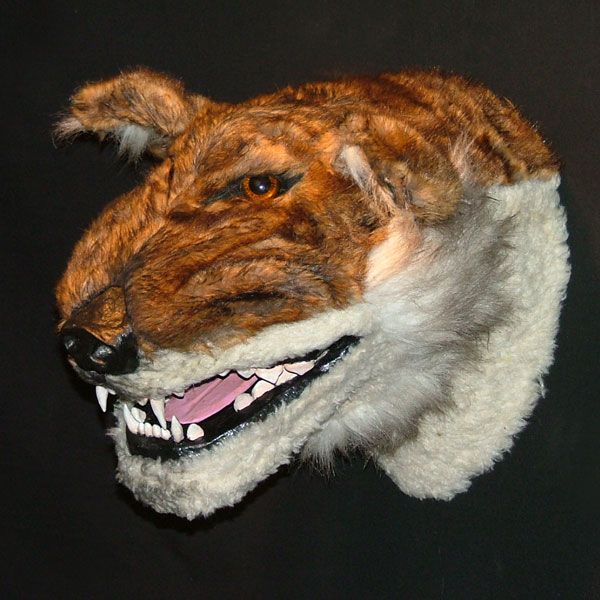 Dhole de Bangkalan (mâle alpha)
