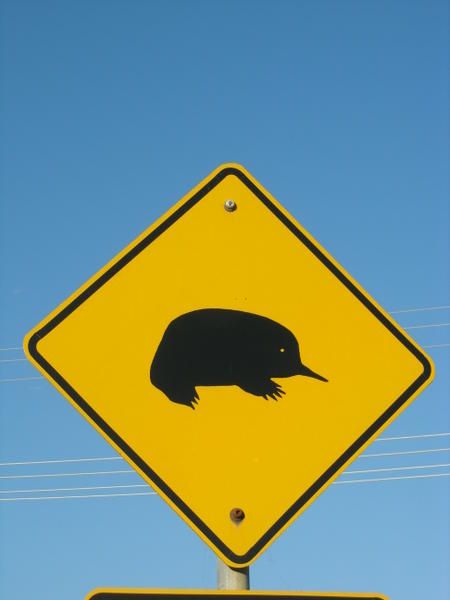 Attention, je traverse !