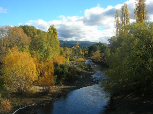 Couleurs d'automne non loin de Hobart