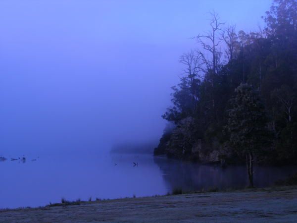 la prairie au petit matin ;o)