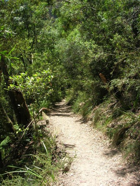 oh le zoli petit chemin