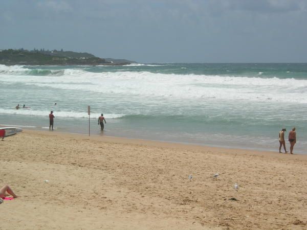 Manly Beach et ses grosses vagues