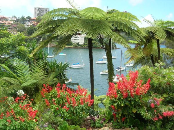Mosman Bay