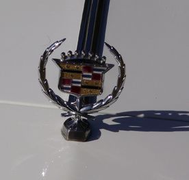 P8150025-3