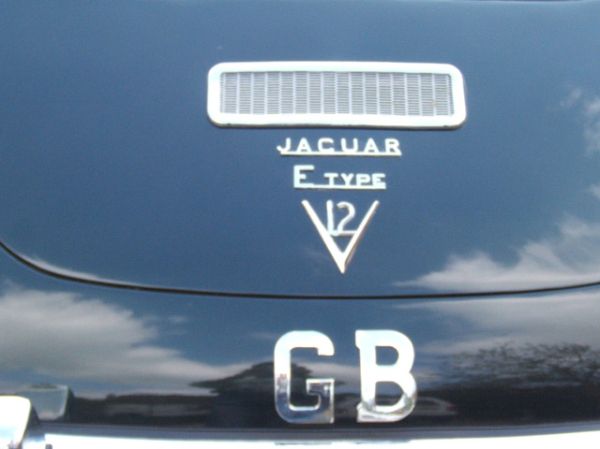 d--tail-jag.jpg