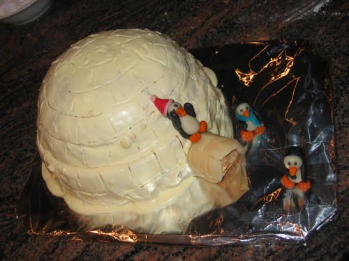 banquise, igloos, pingouins et Grand Nord 038