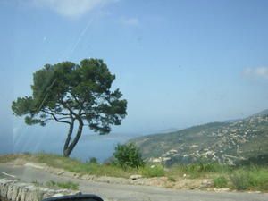 MONACO-010.jpg