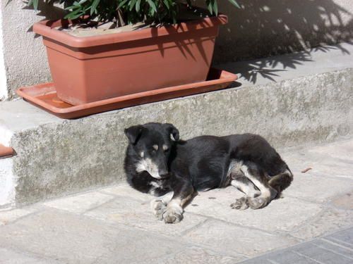 DSCN2507.JPG