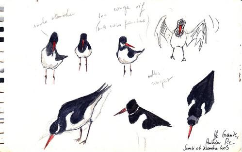 croquisnature04.jpg