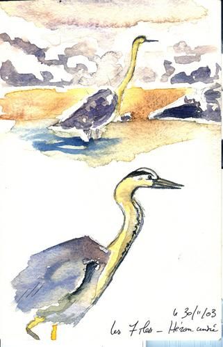 croquisnature05.jpg