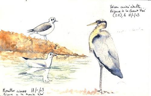 croquisnature06.jpg