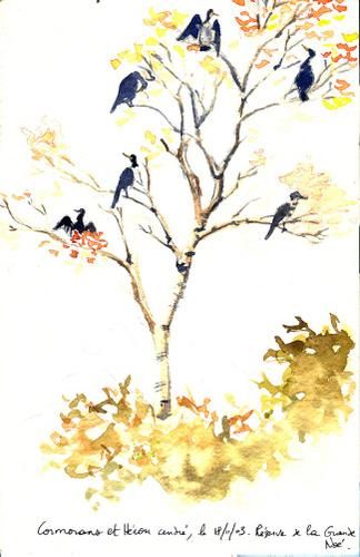 croquisnature08.jpg