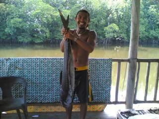 aril-fish.jpg