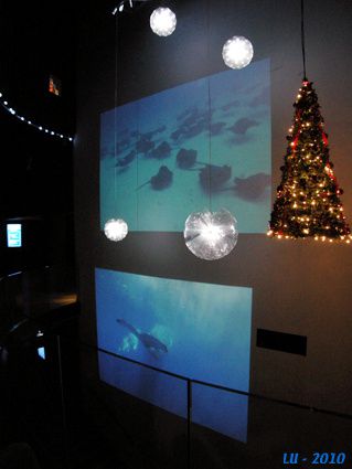 aquarium ecrans