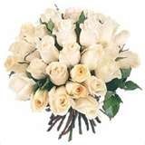 ROSES-BLANCHES.jpg