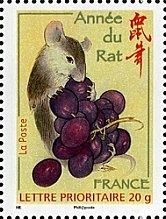 FR016.08-rat.jpg