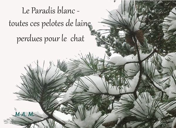 HK-Paradis-blanc2