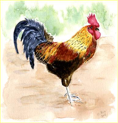 Aquarelle-coq.gif