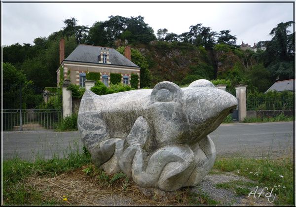 Grenouille.jpg
