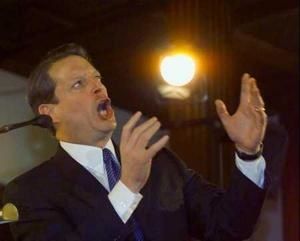 al-gore-feu-1.jpg