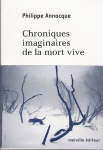 Couverture-avec-bandeau.jpg