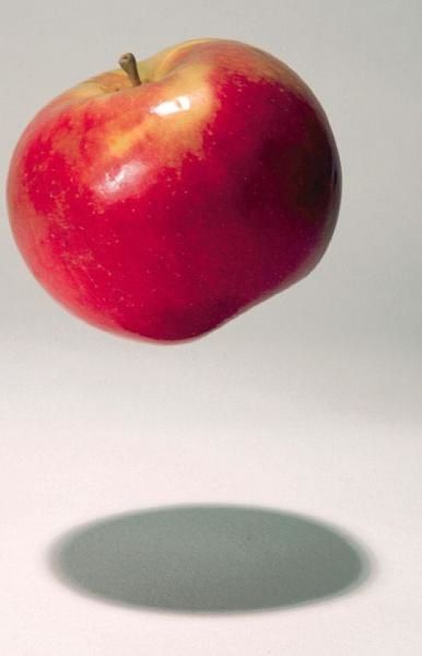 Pomme.jpg