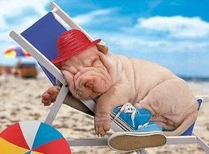 sieste-copie-1.jpg