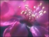thumbnail-copie-1.jpg