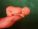 thumbnailCAKAM005.jpg
