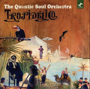 The-Quantic-Soul-Orchestra.jpg