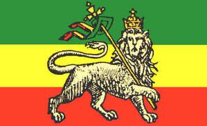 lion.jpg