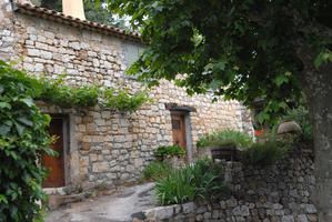 Placette-0020.jpg