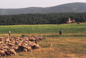 Sp--luque-et-Fabien-0065.jpg