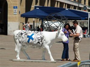 Vache-056.jpg