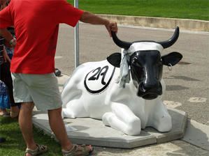 Vache-1092.jpg