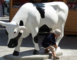 Vache-1095.jpg