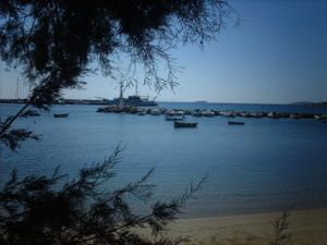 Picture-003-copie-8.jpg